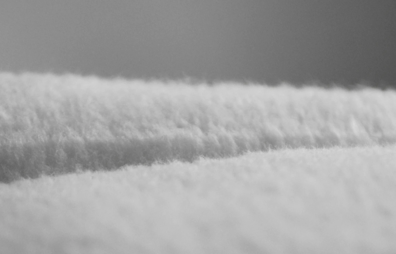 polyester fleece